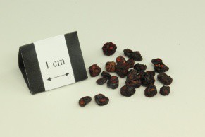 Chinese Magnoliavine Fruit