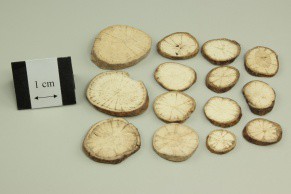 Fourstamen Stephania Root