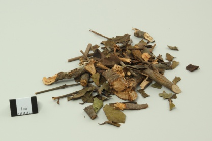 Chinese Taxillus Herb