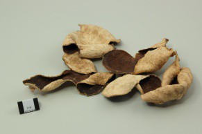 Dried Tangerine Peel