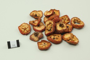 Hawthorn Fruit