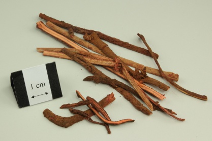 Indian Madder Root