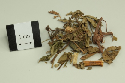 Hairyvein Agrimonia Herb