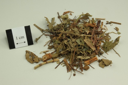 Hairyvein Agrimonia Herb