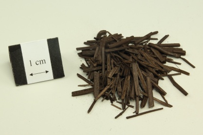 Carbonized Fineleaf Schizonepeta Herb