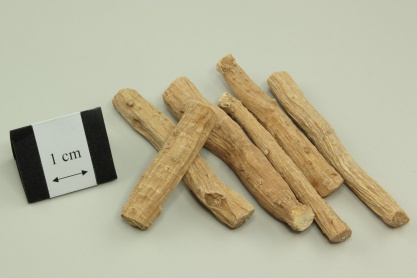 Twotoothed Achyranthes Root