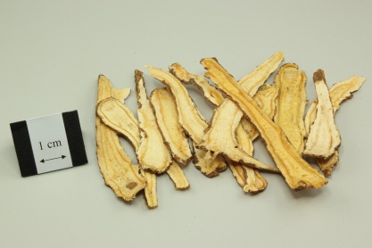 Hogfennel Root