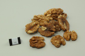 English Walnut Seed
