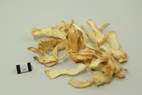Fragrant Solomonseal Rhizome